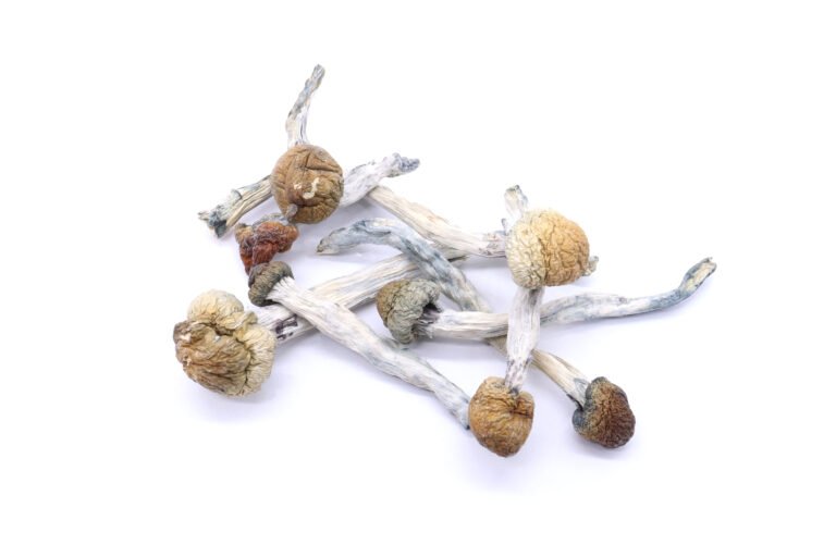 Blue Meanies Strain Mushrooms