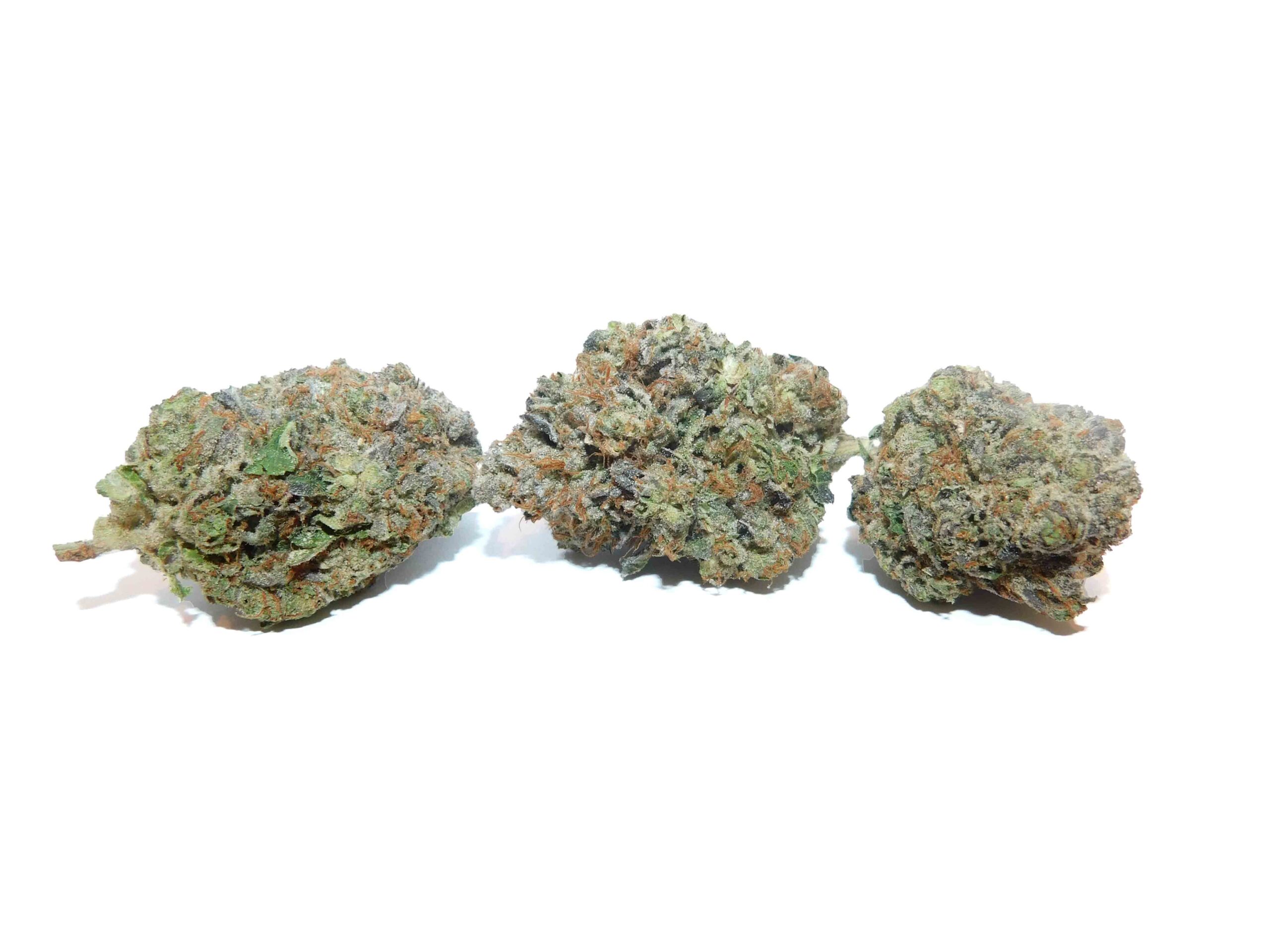 El Jefe Strain Flower - Indica