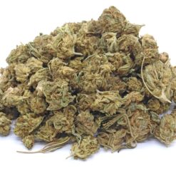 Goldberry Strain Flower - Indica