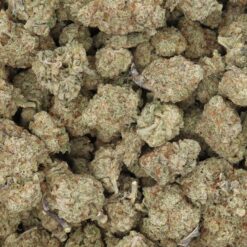 Mac 1 Strain Flower - Hybrid Mac 1 Strain Flower - Hybrid