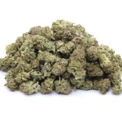 Pennywise Strain Small Buds - Indica Pennywise Strain Small Buds - Indica