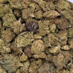 Banana Trail Mix Strain Flower - Sativa Dominant Hybrid