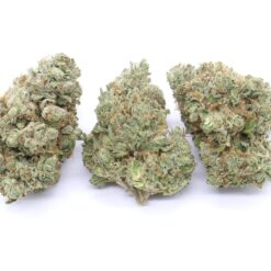 Zack's Cake Strain Flower - Hybrid Zack's Cake Strain Flower - Hybrid