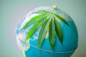 haute-health-destinations-for-cannabis