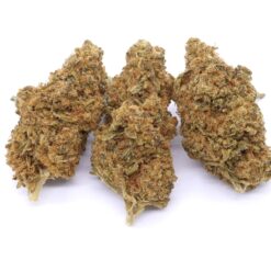 Melonade Strain Flower - Hybrid Melonade Strain Flower - Hybrid