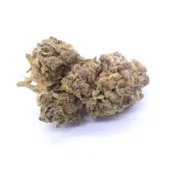 Melonade Strain Flower - Hybrid