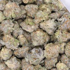 Monster Cookies Strain Flower - Indica