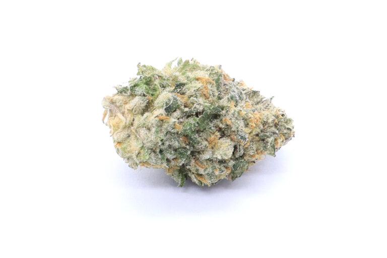 Sour Banana Sherbert Strain Flower - Hybrid