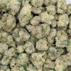 Sour Banana Sherbert Strain Flower - Hybrid