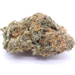 Sour Banana Sherbert Strain Flower - Hybrid
