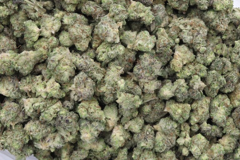 Blueberry Yum Yum