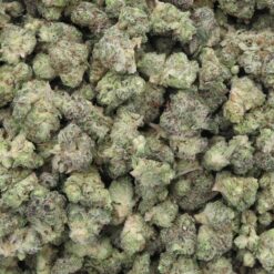 Blueberry Yum Yum Strain Flower - Hybrid Blueberry Yum Yum Strain Flower - Hybrid