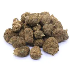 Dream Queen Strain Flower - Hybrid