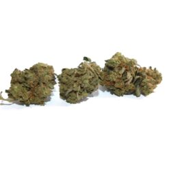 Dream Queen Strain Flower - Hybrid