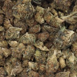 Frosted Flakes Strain Flower - Indica Dominant Hybrid Frosted Flakes Strain Flower - Indica Dominant Hybrid