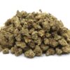 Lemon Cookies Strain - Hybrid Small Buds Lemon Cookies Strain - Hybrid Small Buds