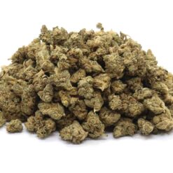 Lemon Cookies Strain - Hybrid Small Buds