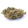Lemon Cookies Strain Flower - Hybrid