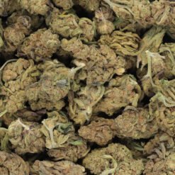 Lemon Cookies Strain Flower - Hybrid Lemon Cookies Strain Flower - Hybrid