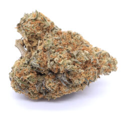 Panama Red Strain Flower - Sativa