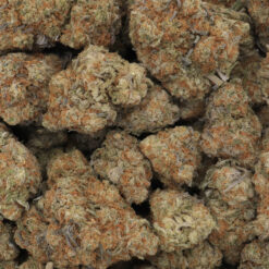 Panama Red Strain Flower - Sativa