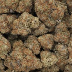 Panama Red Strain Flower - Sativa