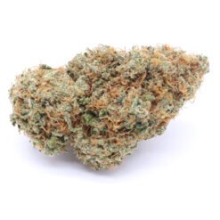 Panama Red Strain Flower - Sativa