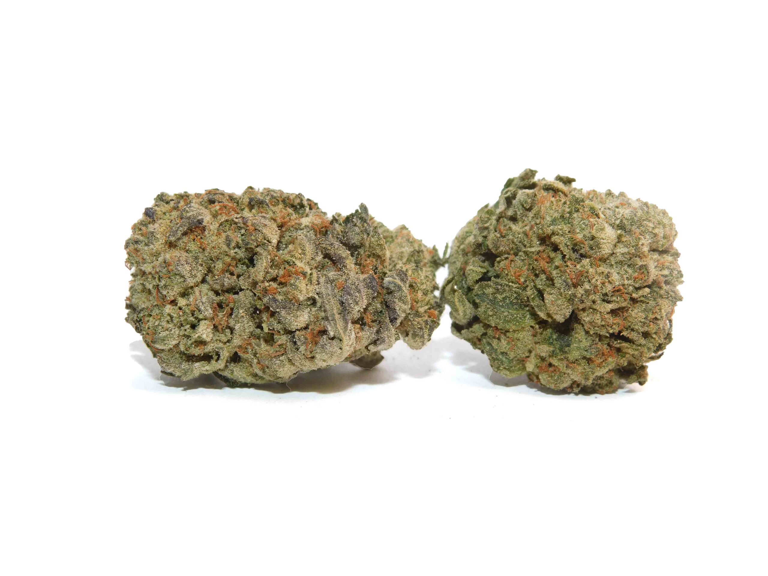 Pink Champagne Strain Flower - Indica Dominant Hybrid