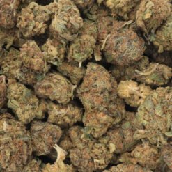 Pink Champagne Strain Flower - Indica Dominant Hybrid