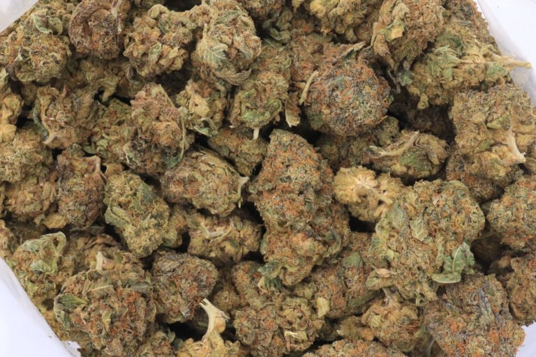 Pink Champagne