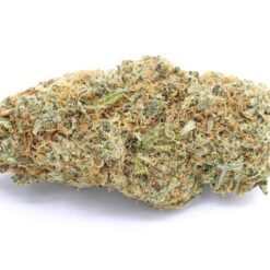 Extreme Cream Strain Flower - Indica Dominant Hybrid Extreme Cream Strain Flower - Indica Dominant Hybrid