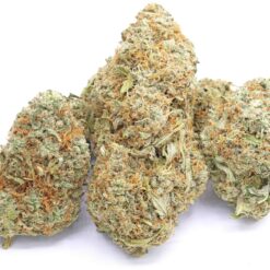 Extreme Cream Strain Flower - Indica Dominant Hybrid Extreme Cream Strain Flower - Indica Dominant Hybrid