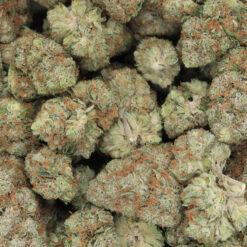 Pineapple Haze Strain Flower - Sativa Dominant Hybrid