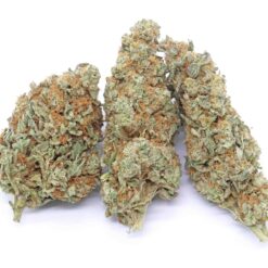 Pineapple Haze Strain Flower - Sativa Dominant Hybrid Pineapple Haze Strain Flower - Sativa Dominant Hybrid