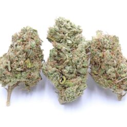 Tangerine Haze Strain Small Buds - Indica Dominant Hybrid Tangerine Haze Strain Small Buds - Indica Dominant Hybrid