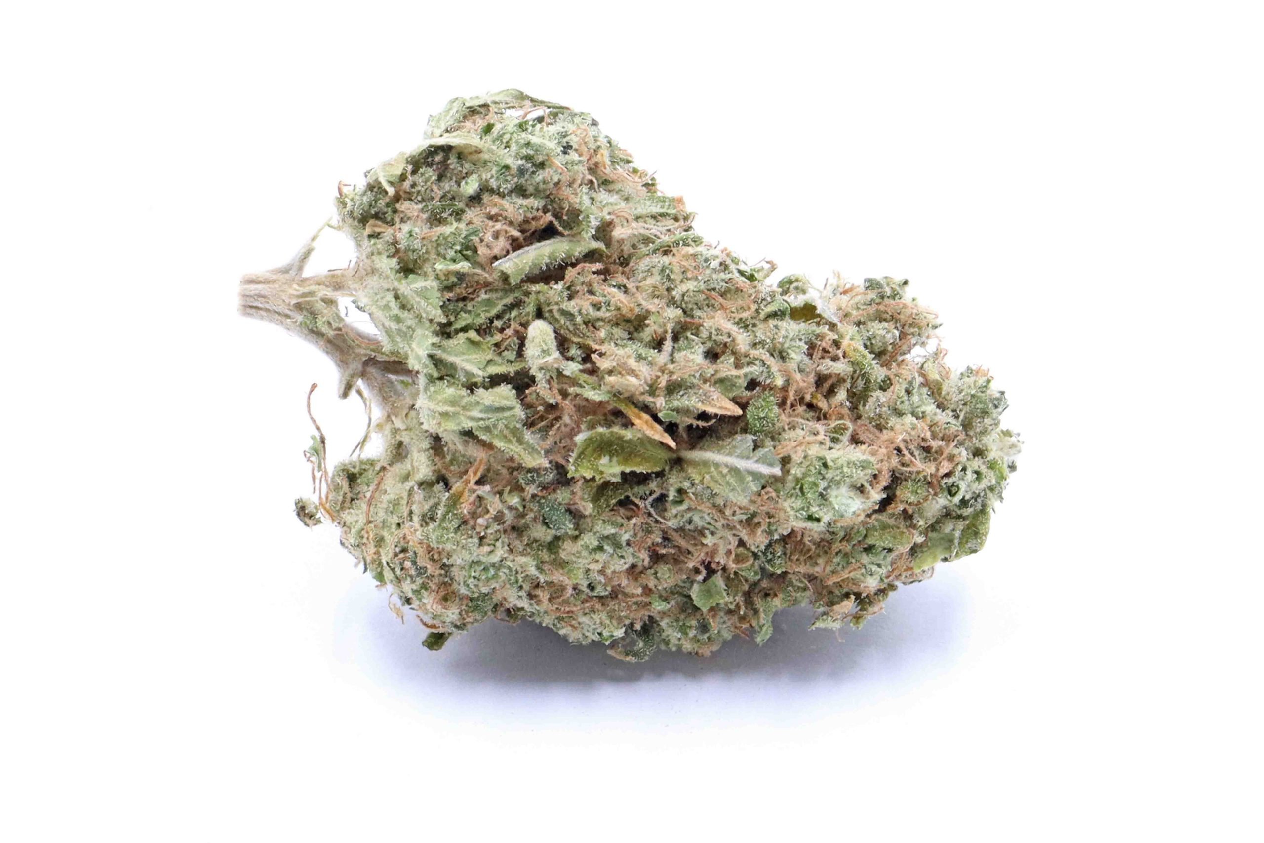 Tangerine Haze Strain Small Buds - Indica Dominant Hybrid