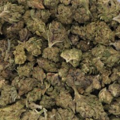 Tangerine Haze Strain Flower - Indica Dominant Hybrid