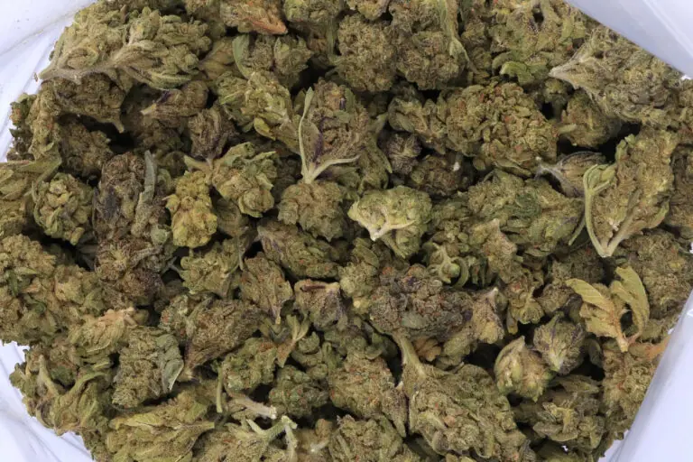 Tangerine Haze