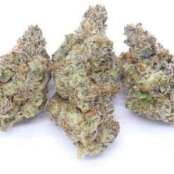 Animal Sherbert Strain Flower - Indica Dominant Hybrid Animal Sherbert Strain Flower - Indica Dominant Hybrid