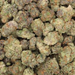 White Rhino Strain Flower - Indica Dominant Hybrid White Rhino Strain Flower - Indica Dominant Hybrid