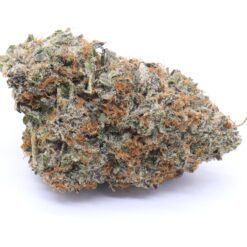 White Rhino Strain Flower - Indica Dominant Hybrid White Rhino Strain Flower - Indica Dominant Hybrid