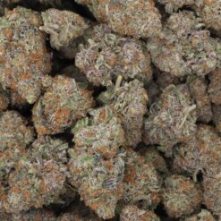 White Rhino Strain Flower - Indica Dominant Hybrid White Rhino Strain Flower - Indica Dominant Hybrid