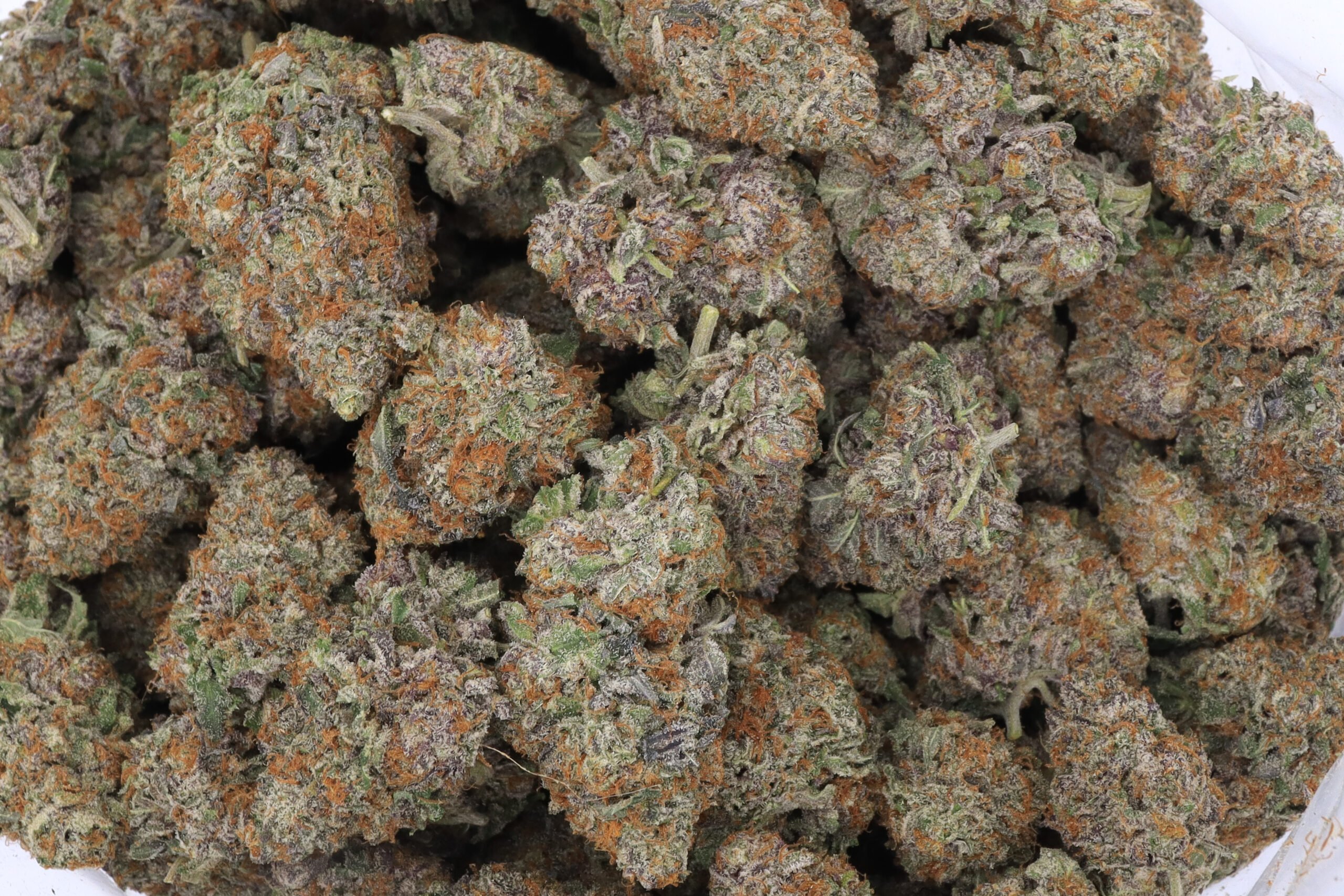 White Rhino Strain Flower - Indica Dominant Hybrid White Rhino Strain Flower - Indica Dominant Hybrid