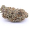 High Society Strain Flower - Hybrid High Society Strain Flower - Hybrid