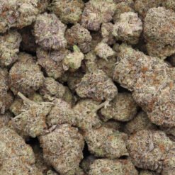 High Society Strain Flower - Hybrid High Society Strain Flower - Hybrid