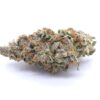 High Society Strain Flower - Hybrid