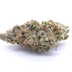 High Society Strain Flower - Hybrid