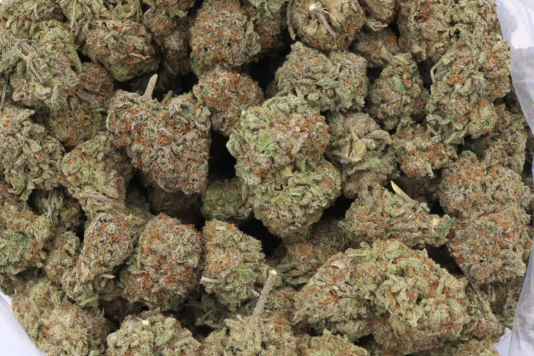 Maui Wowie