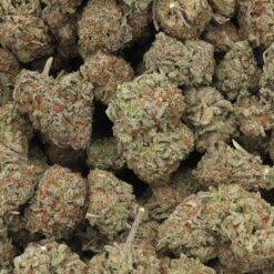 White Rhino Strain Flower - Indica Dominant Hybrid White Rhino Strain Flower - Indica Dominant Hybrid