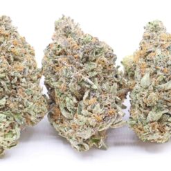 Sherb Quake Strain Flower - Indica Dominant Hybrid Sherb Quake Strain Flower - Indica Dominant Hybrid